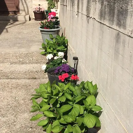 Bepa Διαμέρισμα Μακάρσκα