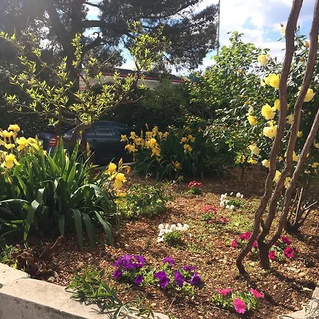 公寓 Bepa 马卡尔斯卡